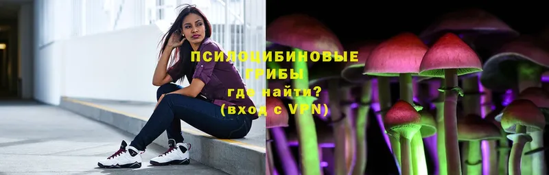 закладки  Чусовой  Галлюциногенные грибы прущие грибы 